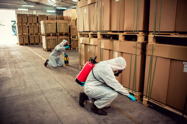Professional Pest Control in Moyock, NC