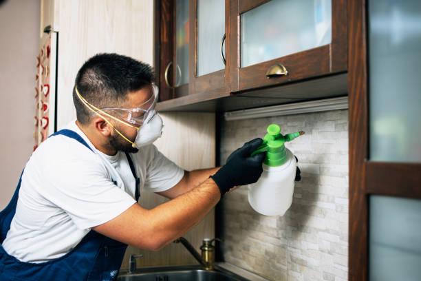 Best Exterminator Services  in Moyock, NC