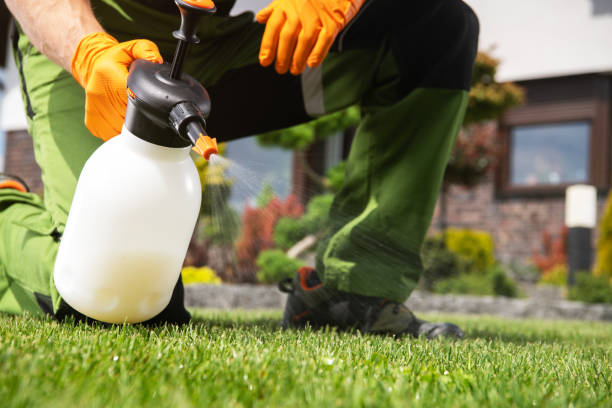 Best Pest Control for Restaurants  in Moyock, NC