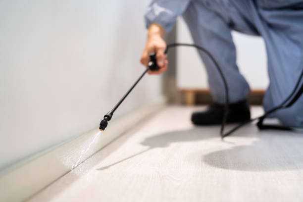 Flea Control Services in Moyock, NC