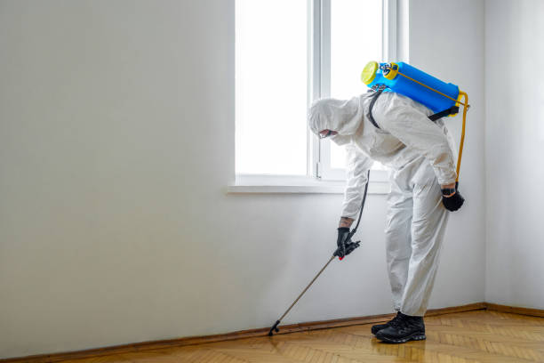 Wasp Removal Services in Moyock, NC