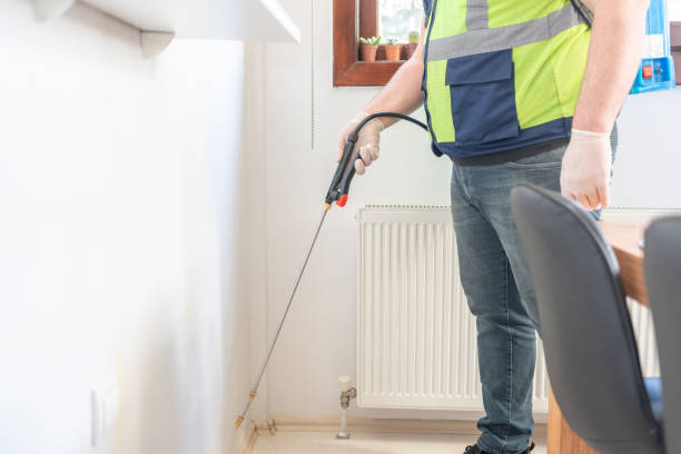 Best Wasp Removal Services  in Moyock, NC