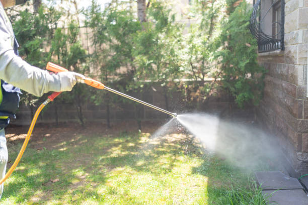 Best Insect Control  in Moyock, NC