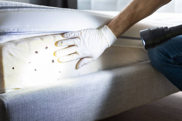 Best Exterminator Services  in Moyock, NC
