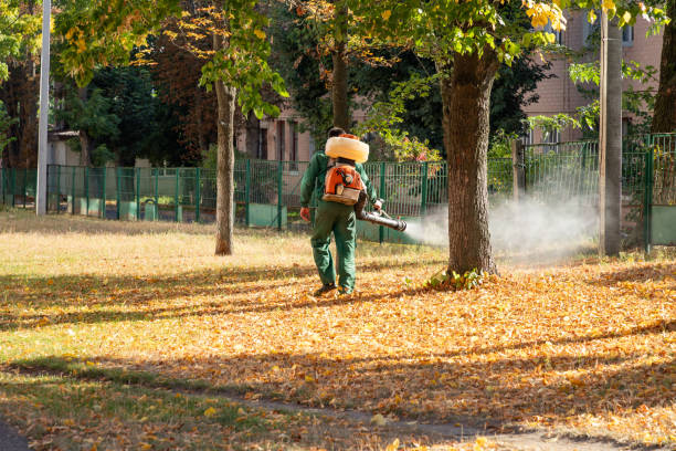 Best Rodent Control Near Me  in Moyock, NC