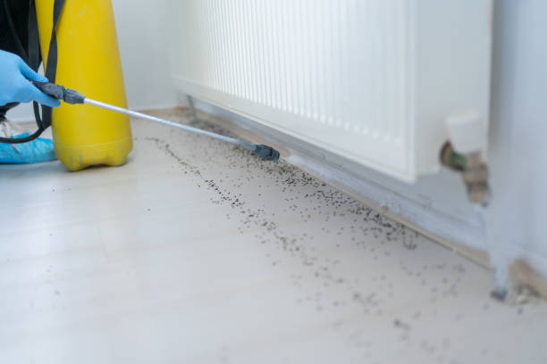 Best Pest Inspection Near Me  in Moyock, NC