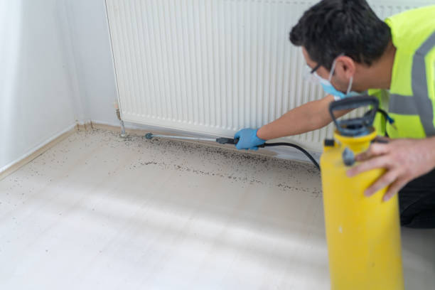 Pest Prevention Services in Moyock, NC