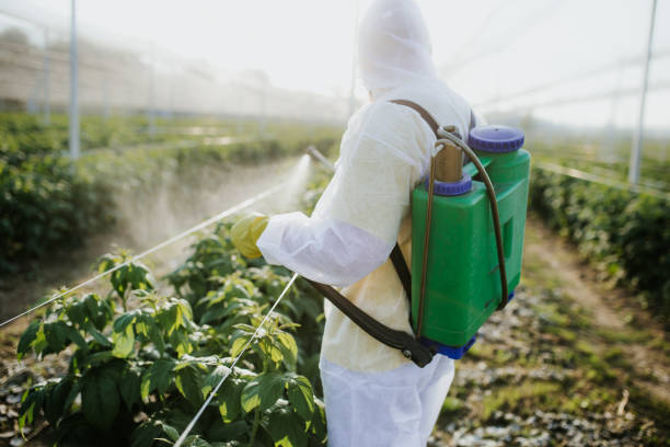 Best Cockroach Control Services  in Moyock, NC